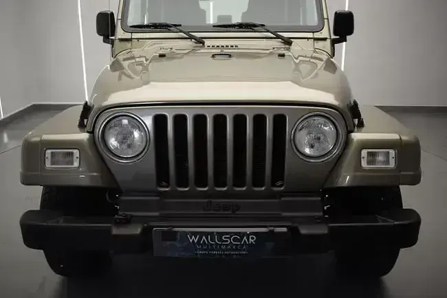 Usado Jeep Wrangler 147 CV (108 kW) 2003 Otro SUV
