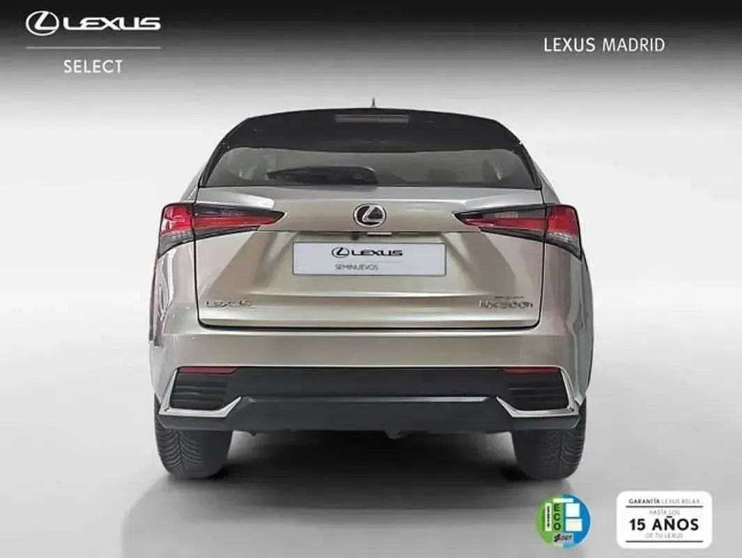 Usado Lexus NX300h Business Edition 197 CV (144 kW) 2018 Plateado SUV