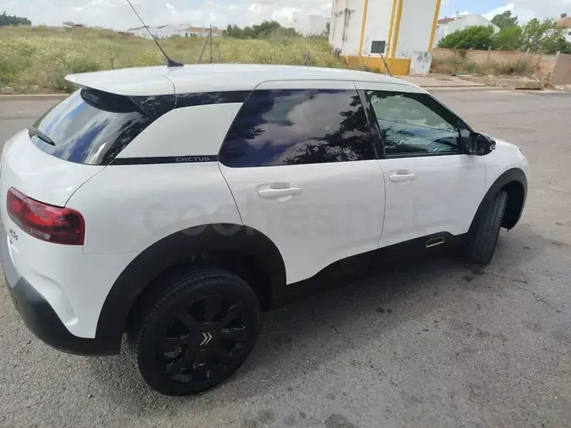 Usado Citroën C4 Cactus Origins 102 CV (75 kW) 2020 Blanco Utilitario
