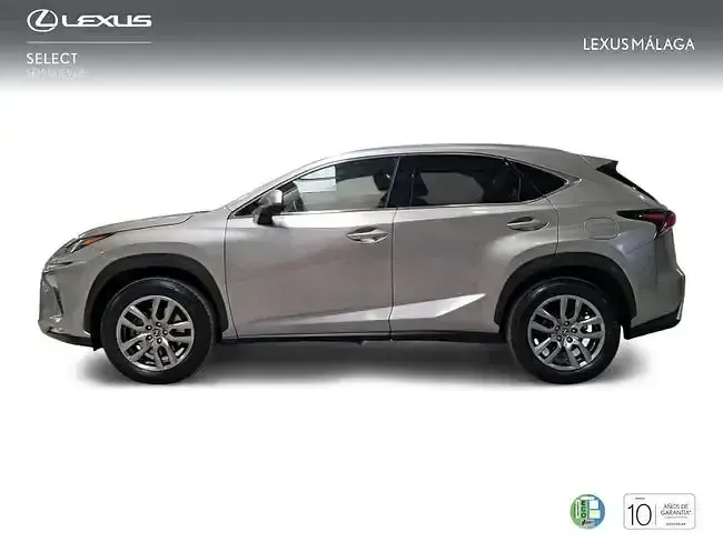 Usado Lexus NX300h Executive Line 197 CV (144 kW) 2018 Gris / plata SUV