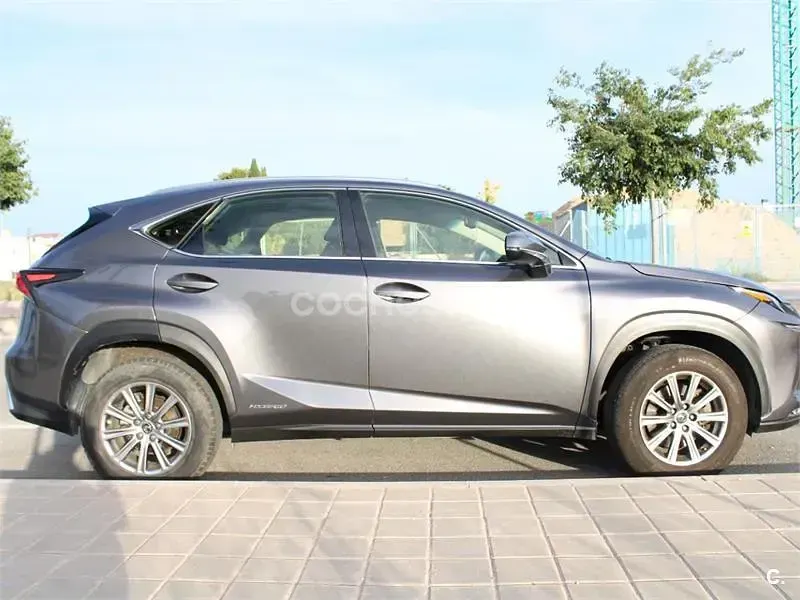 Usado Lexus NX300h Business Edition 197 CV (144 kW) 2019 Gris / plata SUV