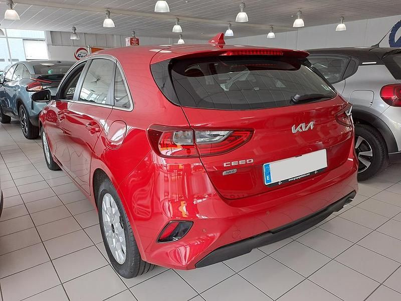 Usado Kia Ceed 136 CV (100 kW) 2024 Rojo Utilitario