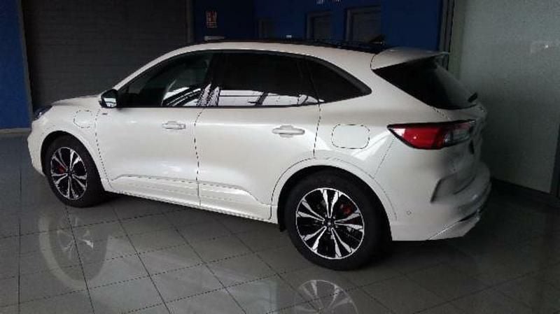 Usado Ford Kuga ST-Line X 225 CV (165 kW) 2020 Blanco SUV