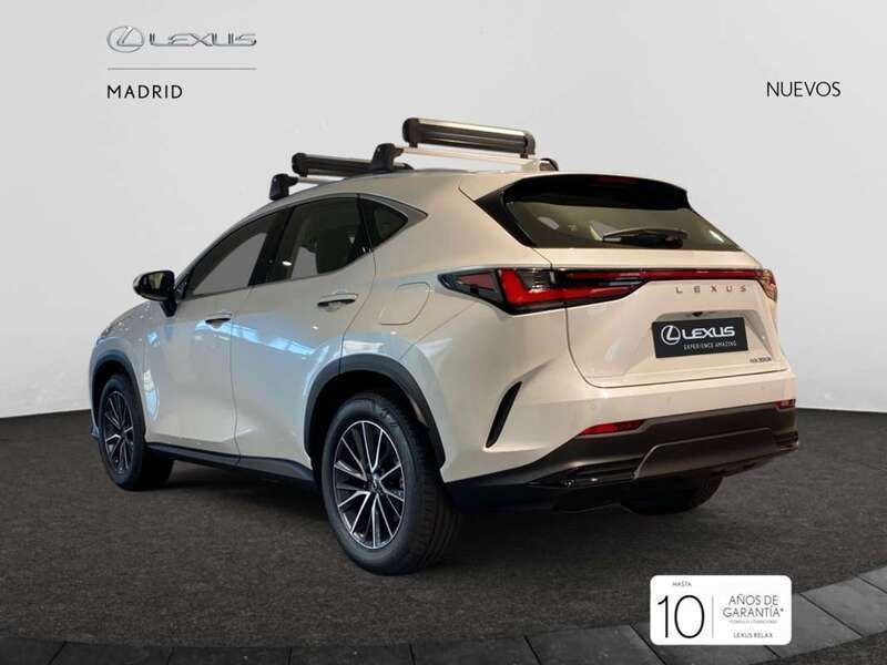 Nuevo Lexus NX350h 242 CV (177 kW) 2025 Blanco SUV