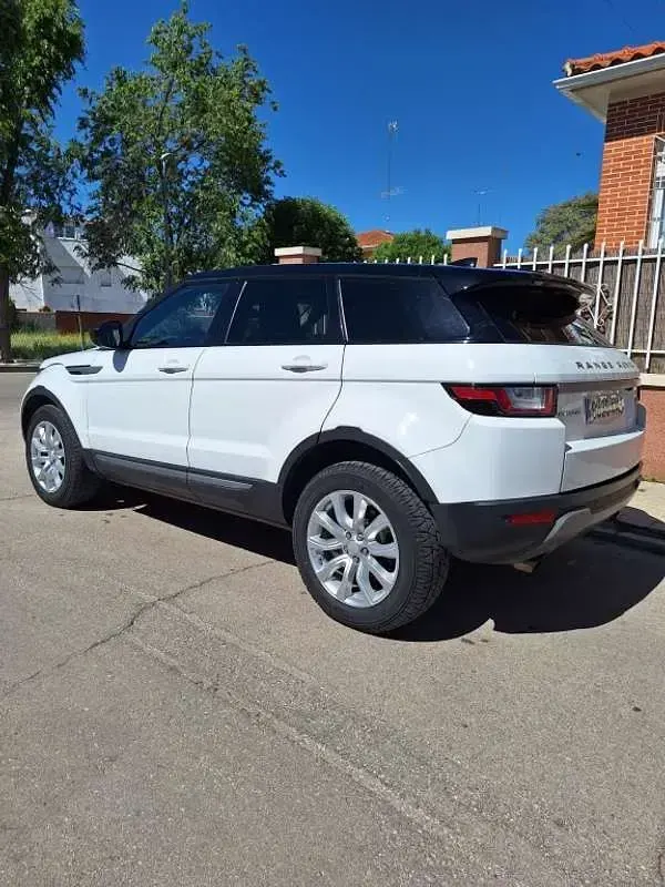 Usado Land Rover Range Rover evoque HSE 150 CV (110 kW) 2018 Blanco SUV