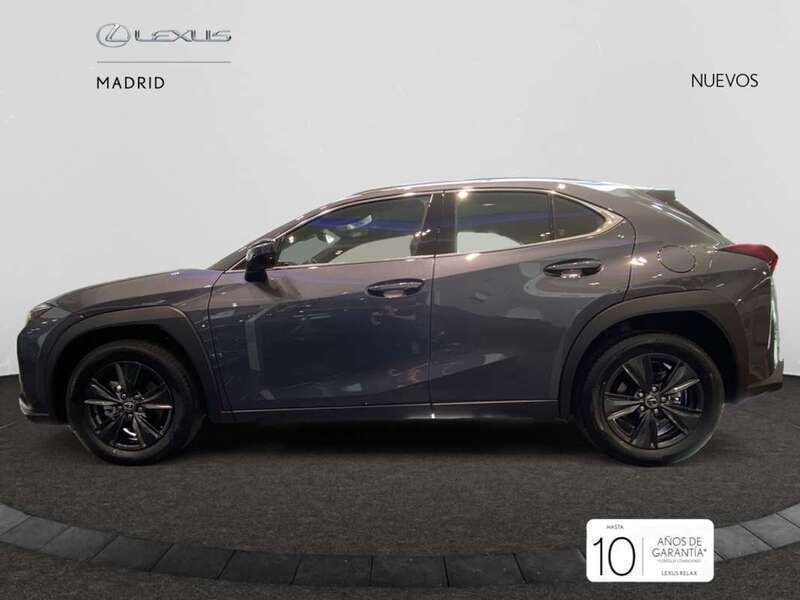 Nuevo Lexus UX 300h 199 CV (146 kW) 2025 Gris SUV