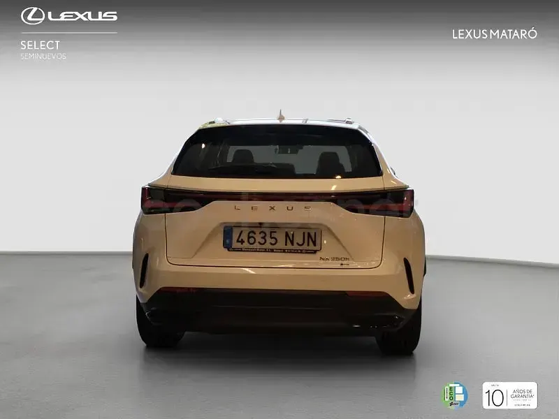 Nuevo Lexus NX350h 197 CV (144 kW) 2025 Blanco SUV