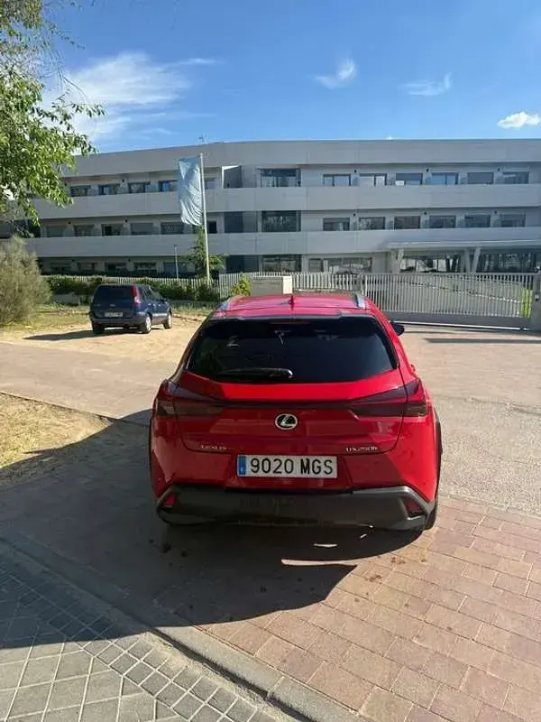 Usado Lexus UX 250h 184 CV (135 kW) 2023 Rojo SUV