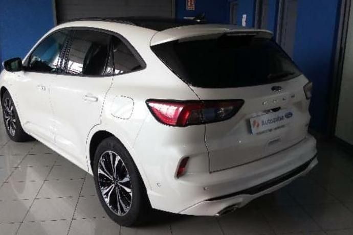 Usado Ford Kuga ST-Line X 225 CV (165 kW) 2020 Blanco SUV