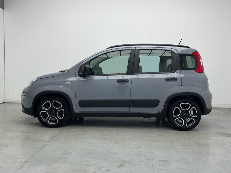 Usado Fiat Panda City Life 70 CV (51 kW) 2022 Gris Utilitario