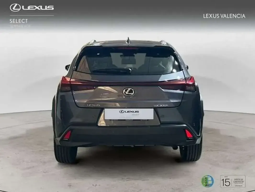 Usado Lexus UX 300h 199 CV (146 kW) 2025 Gris SUV