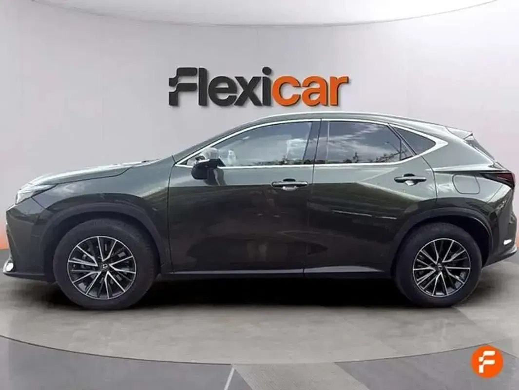 Usado Lexus NX300h Luxury Line 197 CV (144 kW) 2022 Verde SUV