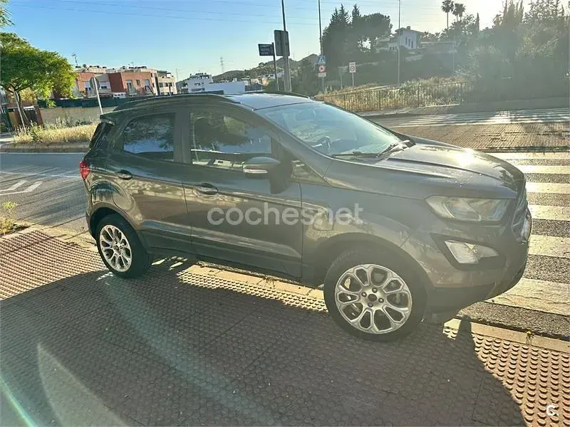 Usado Ford Ecosport Trend 100 CV (73 kW) 2019 Gris / plata SUV