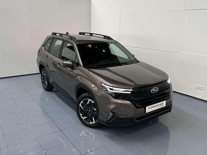 Nuevo Subaru Forester Active 136 CV (100 kW) 2025 Beige SUV