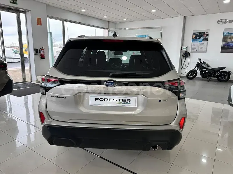 Nuevo Subaru Forester 152 CV (111 kW) 2026 Beige SUV