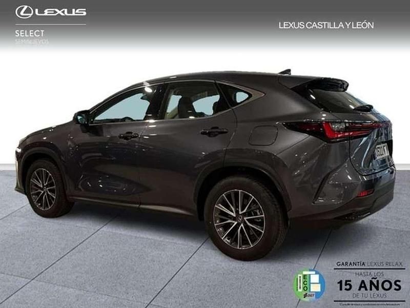 Usado Lexus NX350h 242 CV (177 kW) 2024 Gris SUV