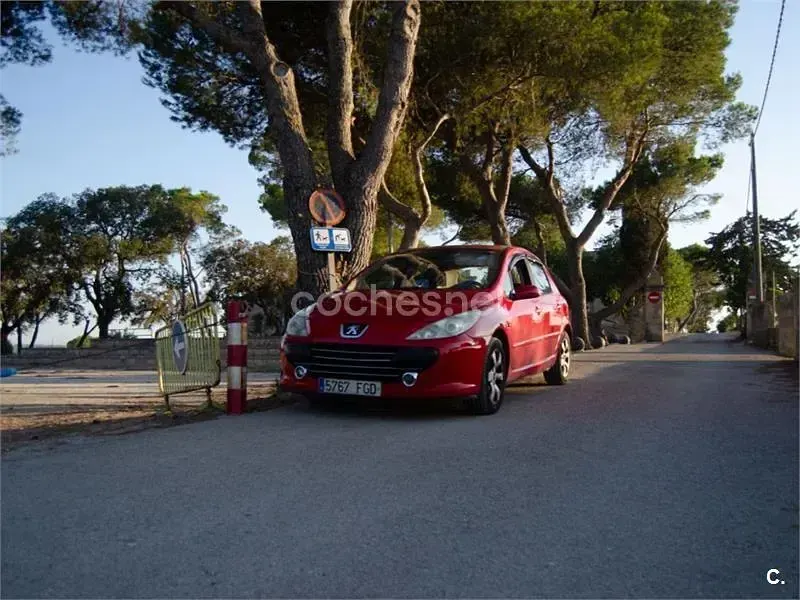 Usado Peugeot 307 90 CV (66 kW) 2006 Rojo Berlina