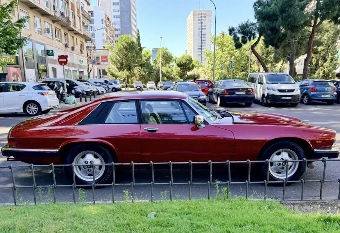 Usado Jaguar XJS 290 CV (213 kW) 1986 Burdeos Coupe