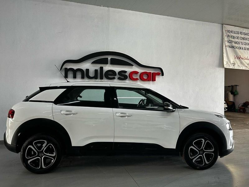 Usado Citroën C4 Cactus Feel 100 CV (73 kW) 2020 Blanco Utilitario