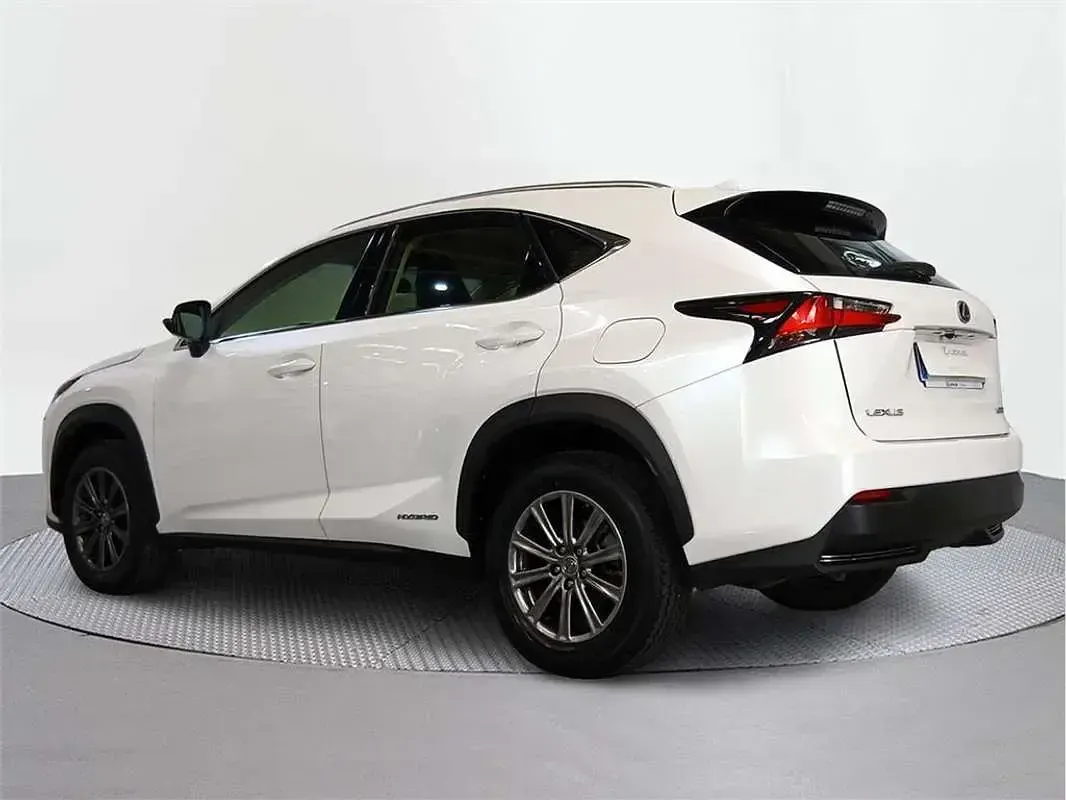 Usado Lexus NX300h Business Edition 197 CV (144 kW) 2017 SUV