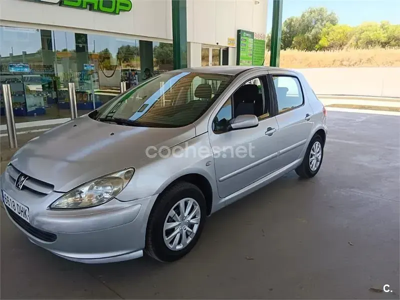 Usado Peugeot 307 110 CV (80 kW) 2005 Gris / plata Berlina