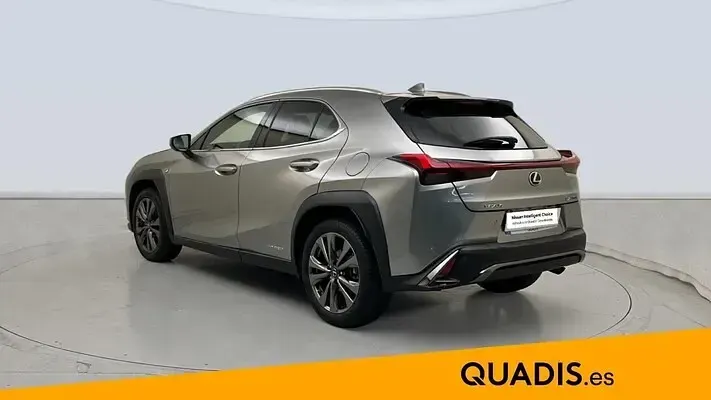 Usado Lexus UX Sport Line 184 CV (135 kW) 2020 SUV