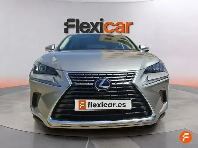 Usado Lexus NX300h Business Edition 197 CV (144 kW) 2020 Gris SUV
