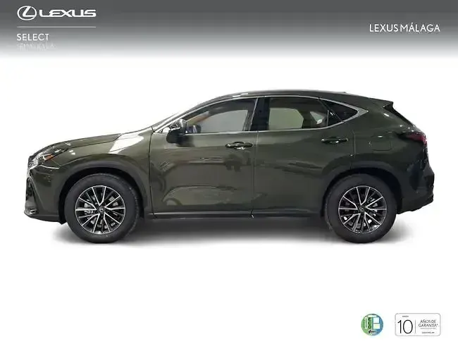 Nuevo Lexus NX350h 242 CV (177 kW) 2026 Verde SUV