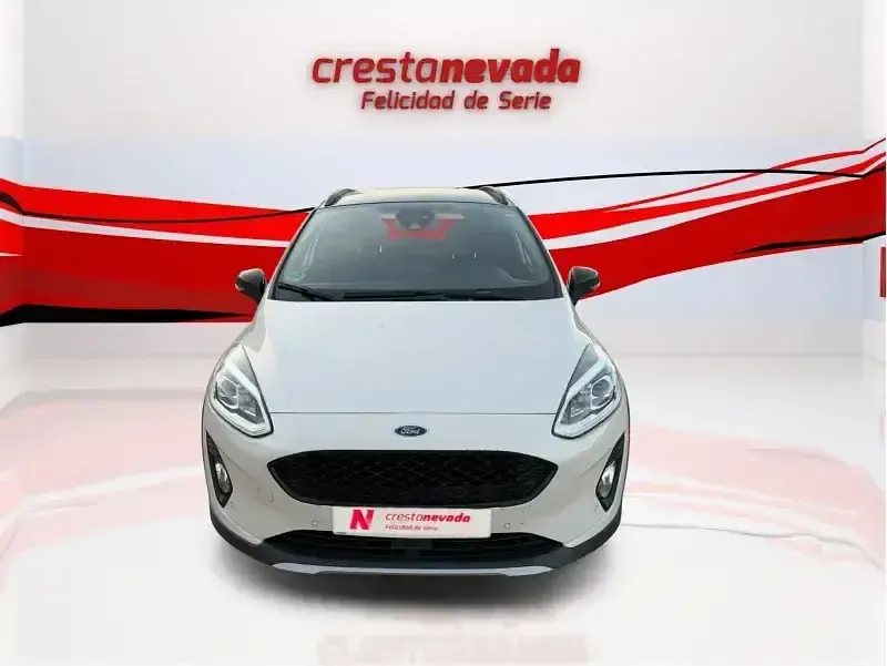 Usado Ford Fiesta Active 86 CV (63 kW) 2020 Beige Utilitario