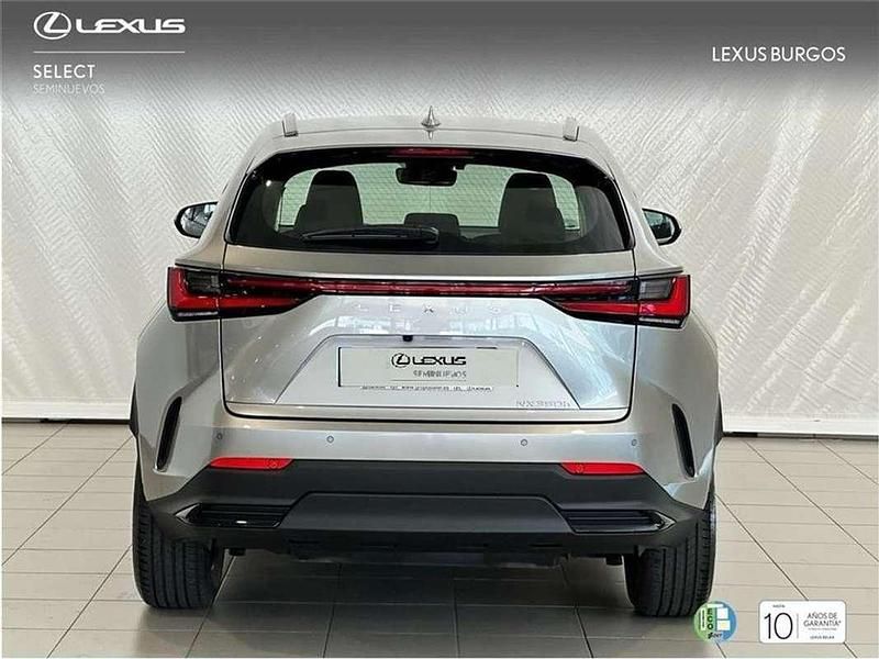 Usado Lexus NX450h+ 310 CV (228 kW) 2025 Gris SUV