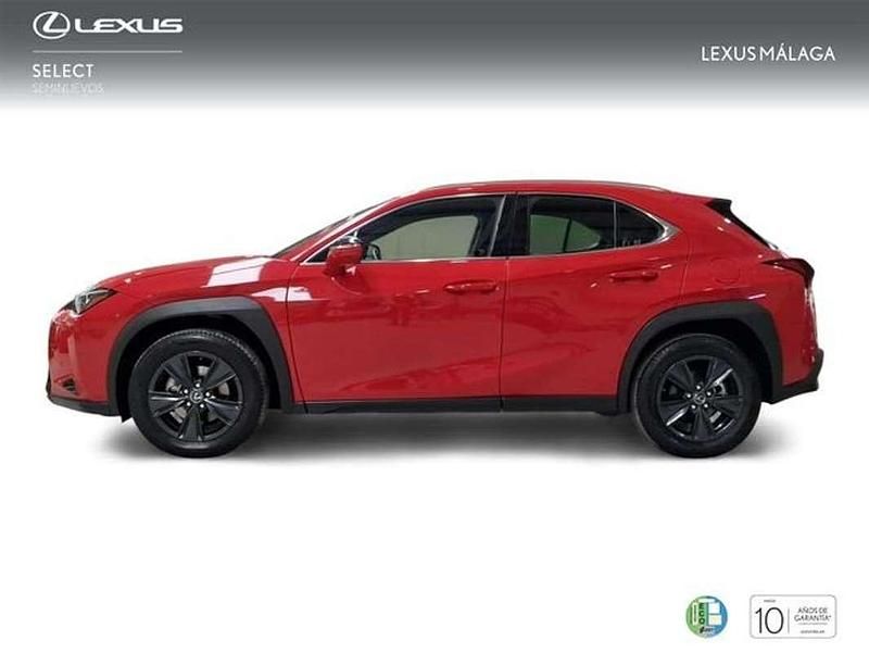 Usado Lexus UX 250h Business Edition 184 CV (135 kW) 2022 Rojo SUV