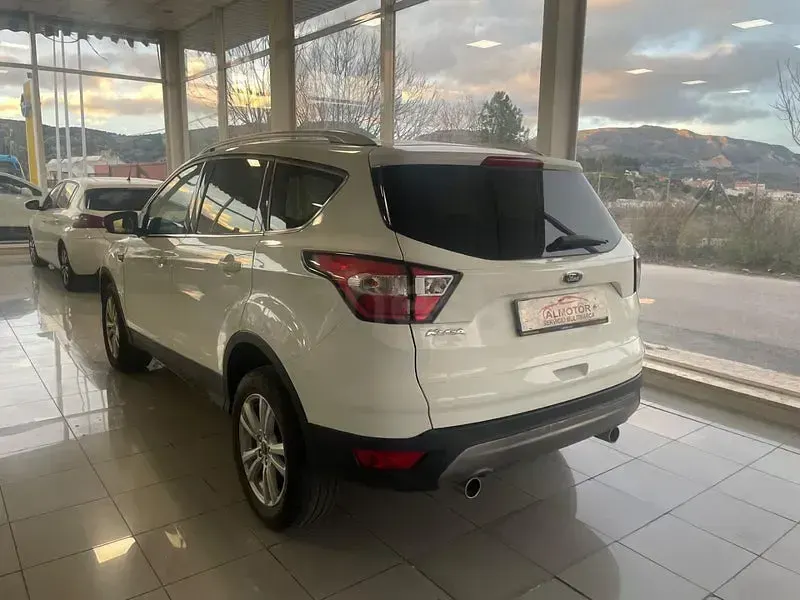 Usado Ford Kuga Trend 150 CV (110 kW) 2019 Blanco SUV