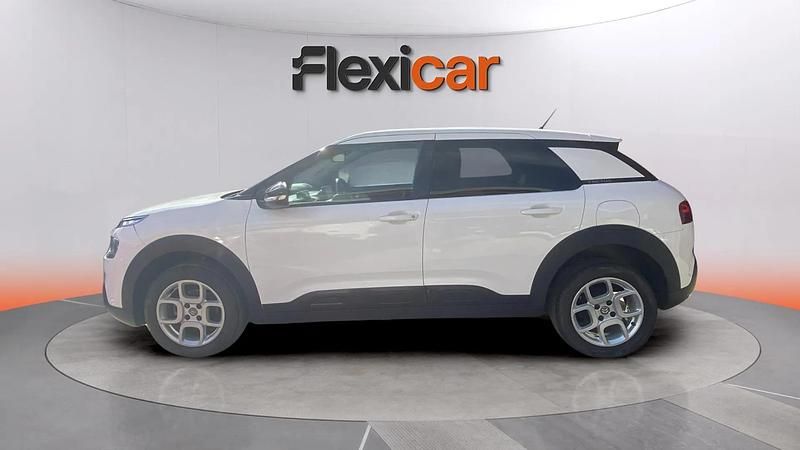 Usado Citroën C4 Cactus Feel 102 CV (75 kW) 2019 Blanco Utilitario