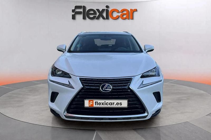 Usado Lexus NX300h Business Edition 197 CV (144 kW) 2018 Blanco SUV