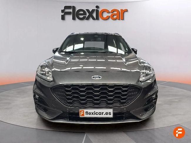 Usado Ford Kuga ST-Line 120 CV (88 kW) 2024 Gris SUV
