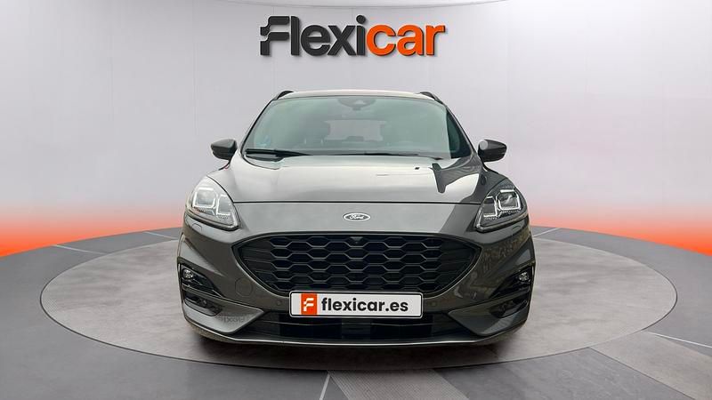 Usado Ford Kuga ST-Line 150 CV (110 kW) 2020 Gris SUV