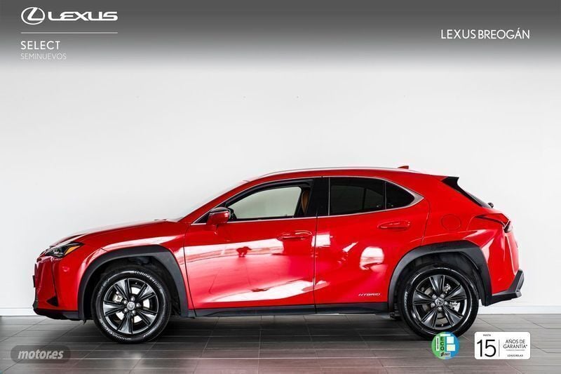 Usado Lexus UX 250h Business Edition 184 CV (135 kW) 2020 Rojo SUV