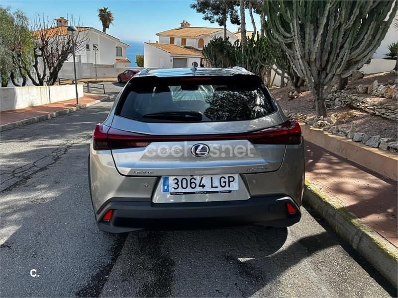 Usado Lexus UX Business Edition 184 CV (135 kW) 2020 Gris / plata SUV