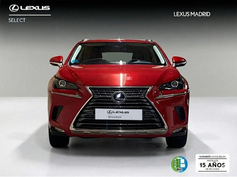 Usado Lexus NX300h Business Edition 197 CV (144 kW) 2020 Rojo SUV