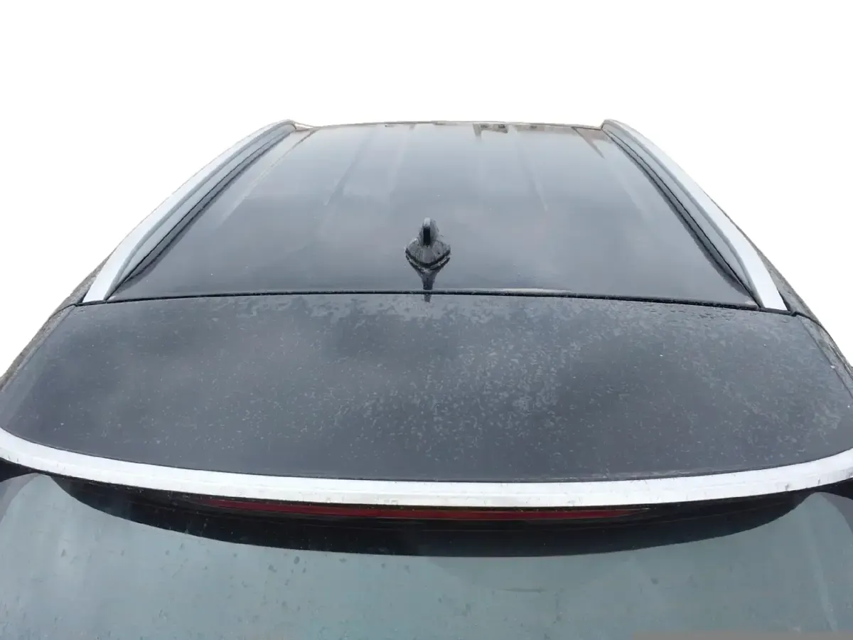 Usado Kia Sportage 230 CV (169 kW) 2022 Negro SUV