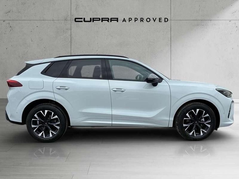 Occasion Cupra Terramar 150 ch (110 kW) 2025 Blanc SUV