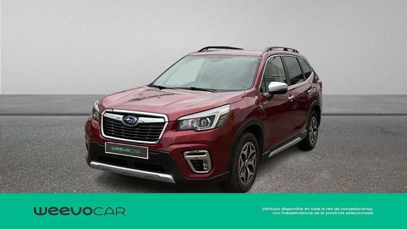 Usado Subaru Forester 150 CV (110 kW) 2019 Rojo SUV