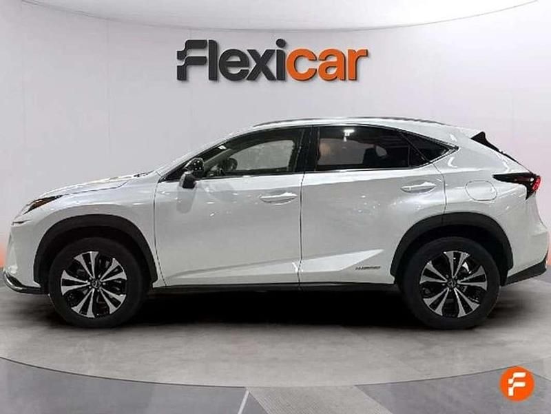 Usado Lexus NX300h Business Edition 197 CV (144 kW) 2021 Blanco SUV