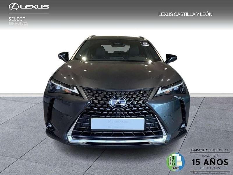 Usado Lexus UX 300h 201 CV (147 kW) 2025 Gris SUV
