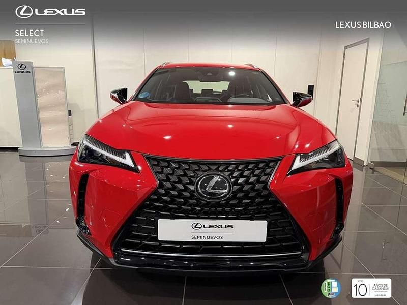 Usado Lexus UX 250h Business Edition 184 CV (135 kW) 2022 Rojo SUV