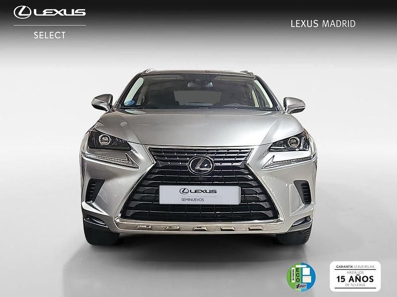 Usado Lexus NX300h Business Edition 197 CV (144 kW) 2021 Gris SUV