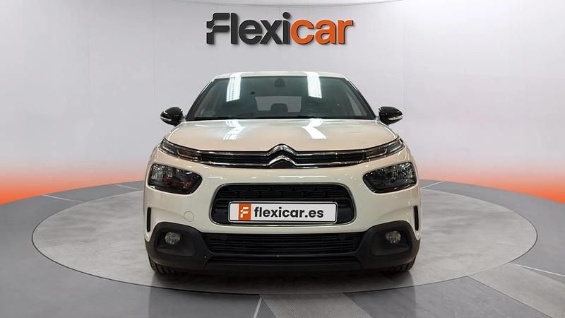 Usado Citroën C4 Cactus Feel 99 CV (72 kW) 2019 Blanco Utilitario
