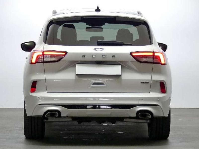 Usado Ford Kuga ST-Line X 227 CV (166 kW) 2021 Blanco SUV