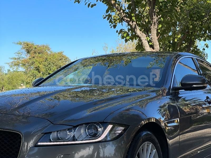 Usado Jaguar XF Prestige 163 CV (119 kW) 2016 Gris / plata Berlina