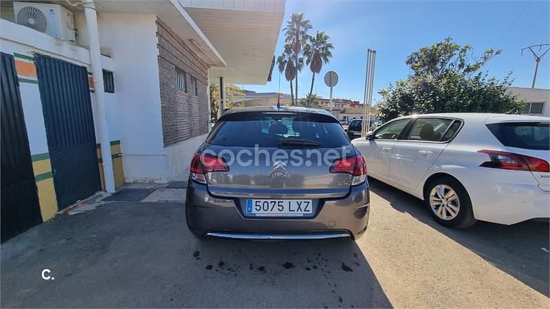 Usado Citroën C4 Live 120 CV (88 kW) 2017 Verde Berlina